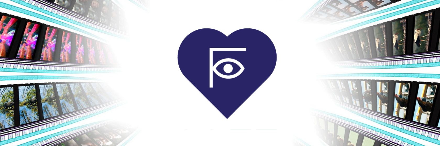 Palace Banners.jpg